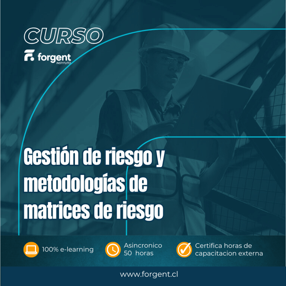 Curso Gestión de Riesgos y Matrices de Riesgo ISO